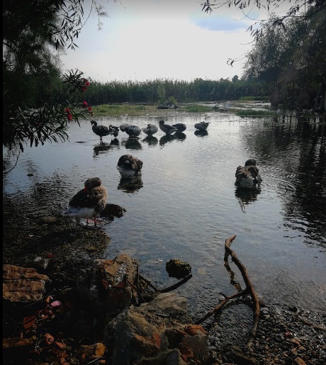Menteşe Akkaya Köyü Resimleri 4