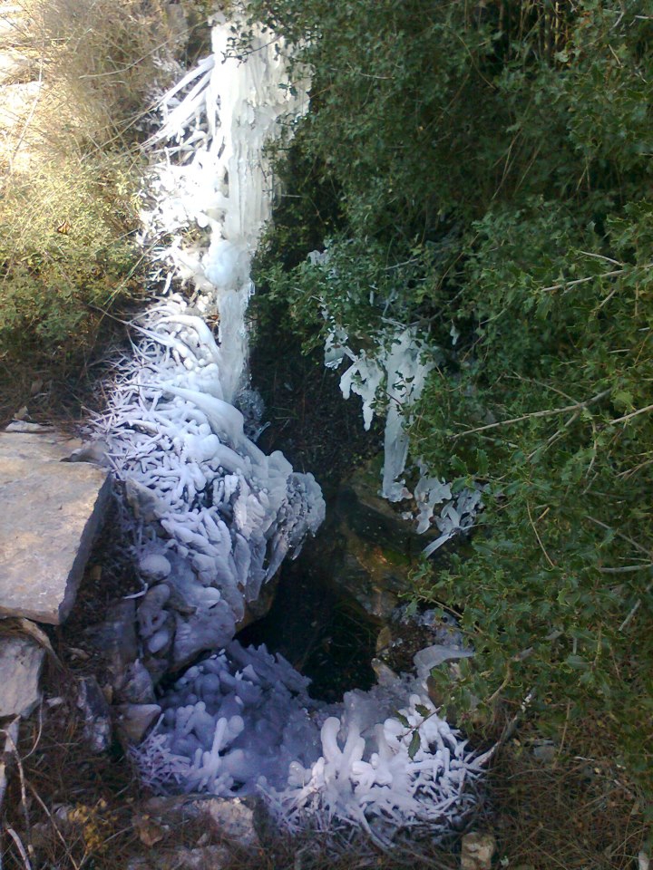 Menteşe Algı Köyü Resimleri 11
