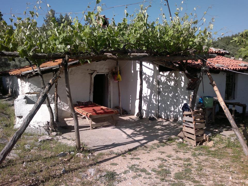 Menteşe Algı Köyü Resimleri 13