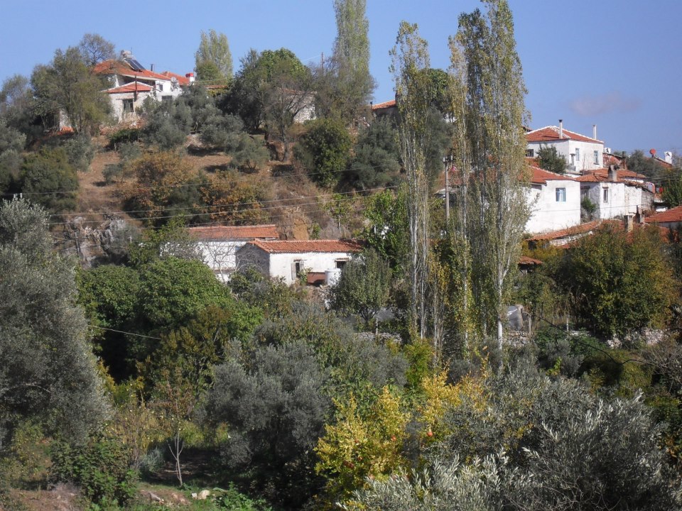Menteşe Algı Köyü Resimleri 4