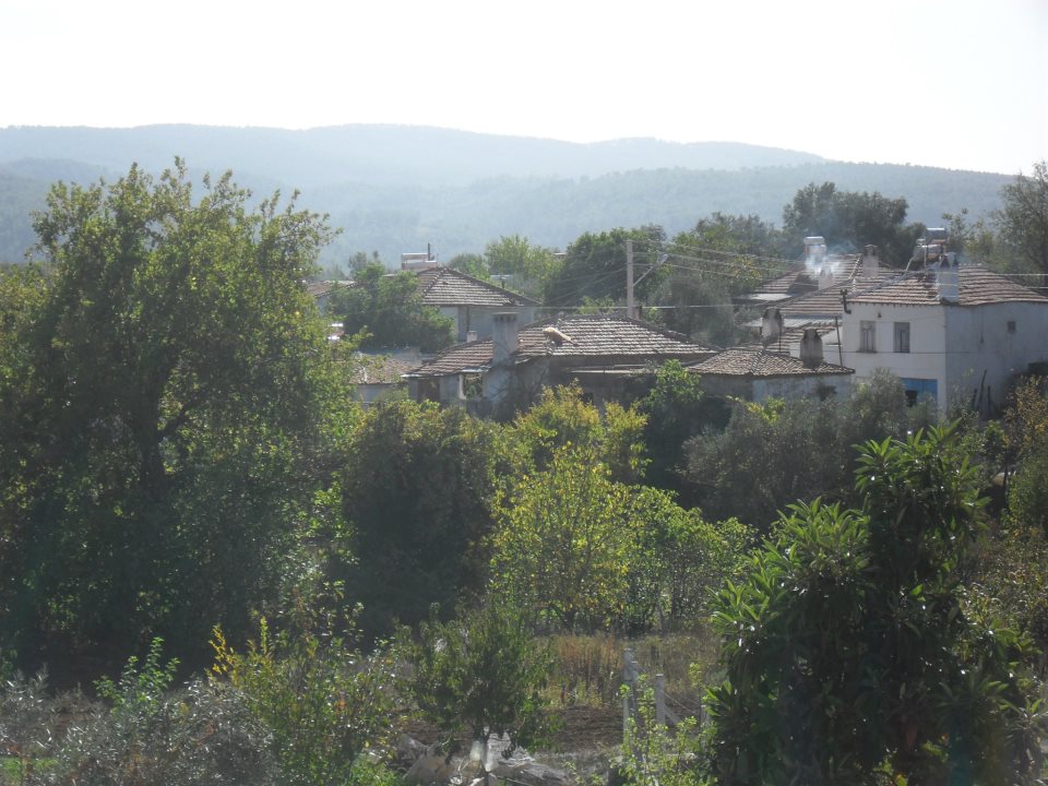 Menteşe Algı Köyü Resimleri 7