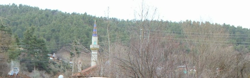 Menteşe Avcılar Köyü Resimleri 1