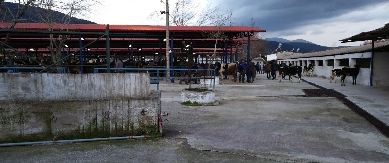 Menteşe Bayır Köyü Resimleri 5