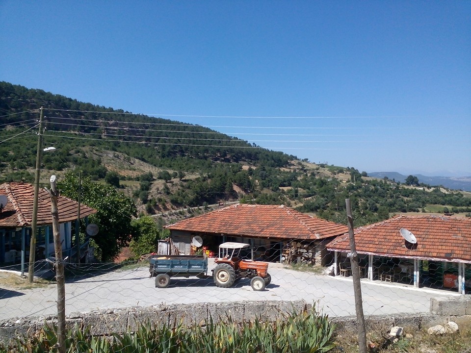 Menteşe Bozyer Köyü Resimleri 3