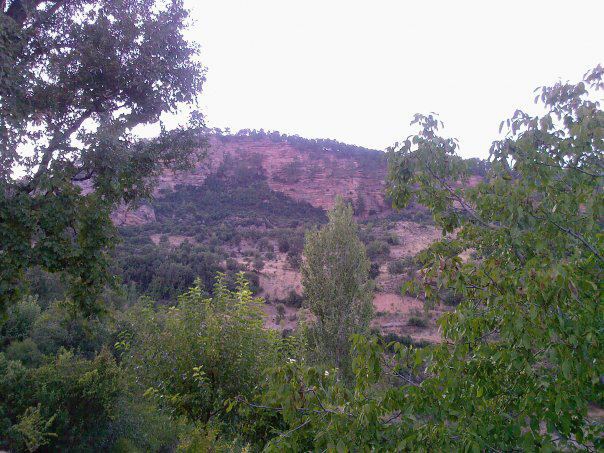 Menteşe Bozyer Köyü Resimleri 6