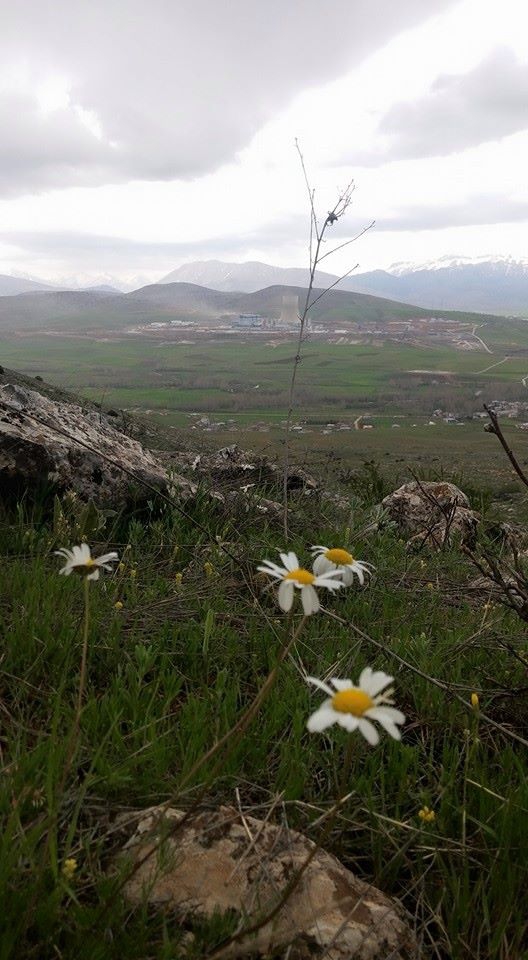 Adana Tufanbeyli Yamanlı Köyü Resimleri 12