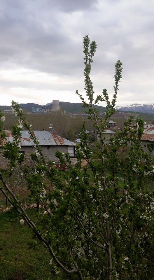 Adana Tufanbeyli Yamanlı Köyü Resimleri 5