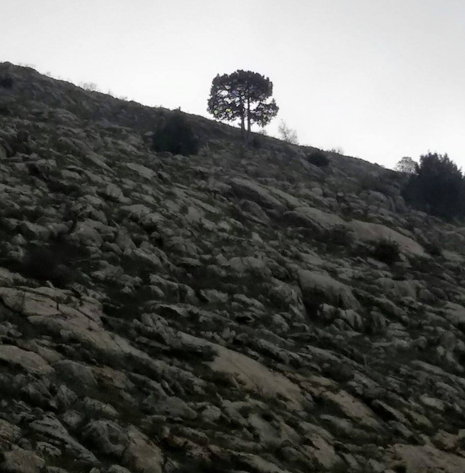 Adana Tufanbeyli Yamanlı Köyü Resimleri 7