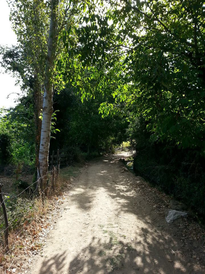 Menteşe Dokuzçam Köyü Resimleri 10