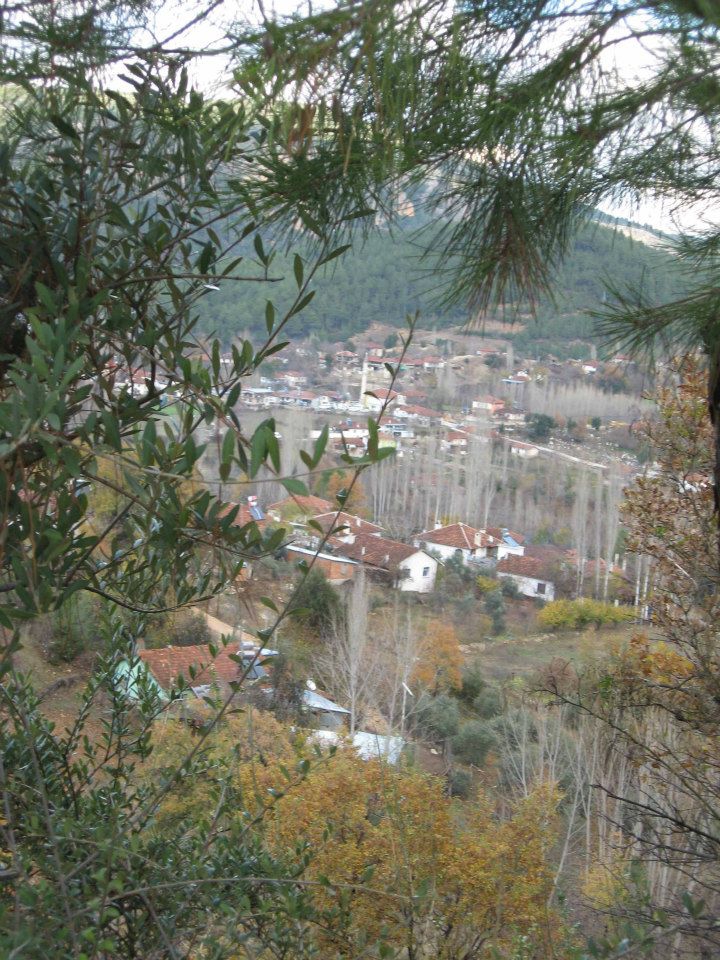 Menteşe Dokuzçam Köyü Resimleri 11