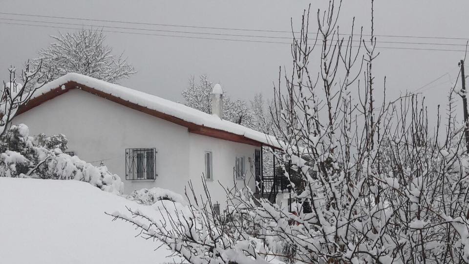 Menteşe Dokuzçam Köyü Resimleri 5