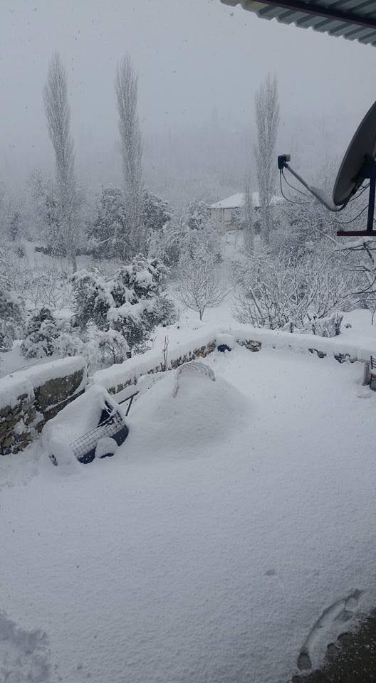 Menteşe Dokuzçam Köyü Resimleri 7