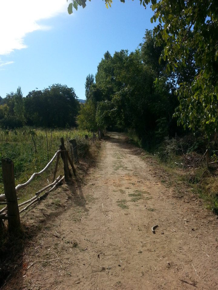 Menteşe Dokuzçam Köyü Resimleri 9