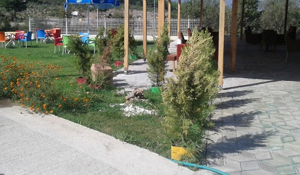 Menteşe Ortaköy Köyü Resimleri 4