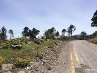 Menteşe Özlüce Köyü Resimleri 2