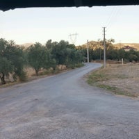 Menteşe Paşapınar Köyü Resimleri 1