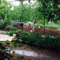 Menteşe Paşapınar Köyü Resimleri 2