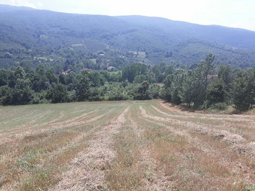 Hendek Beylice Köyü Resimleri 3