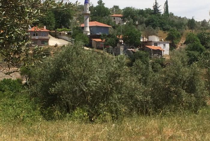 Menteşe Yenibağyaka Köyü Resimleri 6