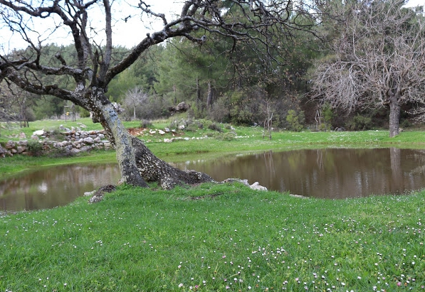 Menteşe Yerkesik Köyü Resimleri 8