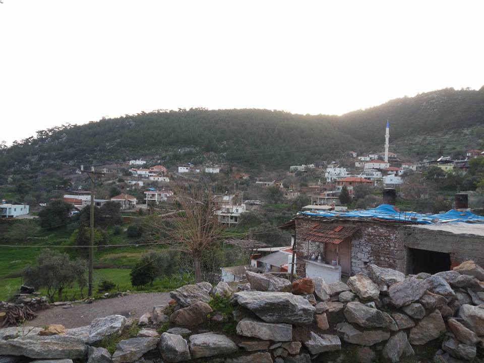 Milas Akçakaya Köyü Resimleri 10