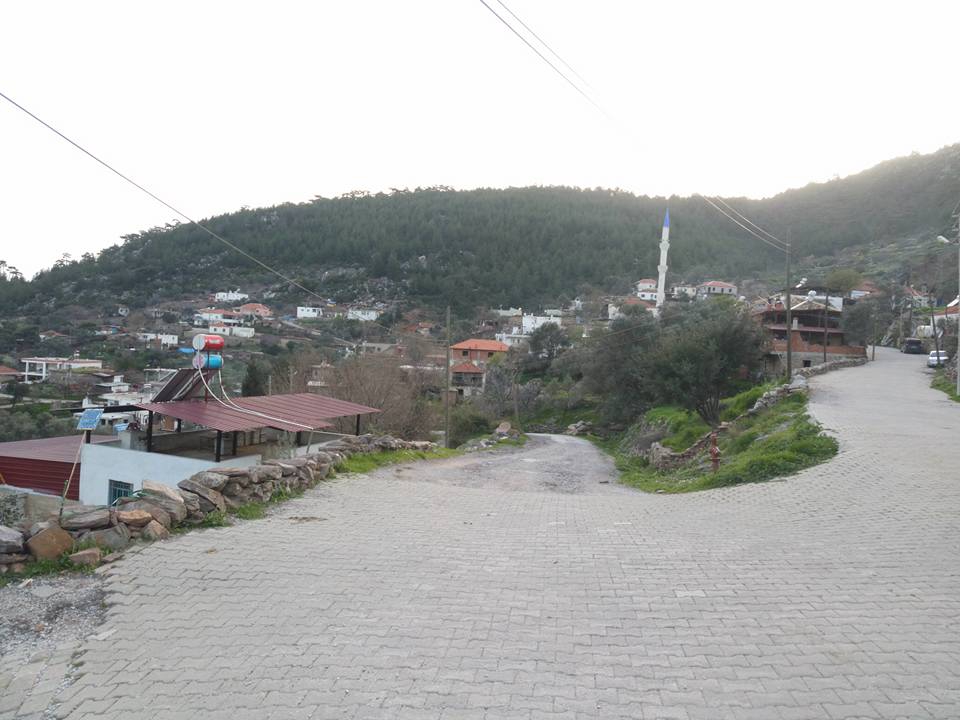 Milas Akçakaya Köyü Resimleri 11