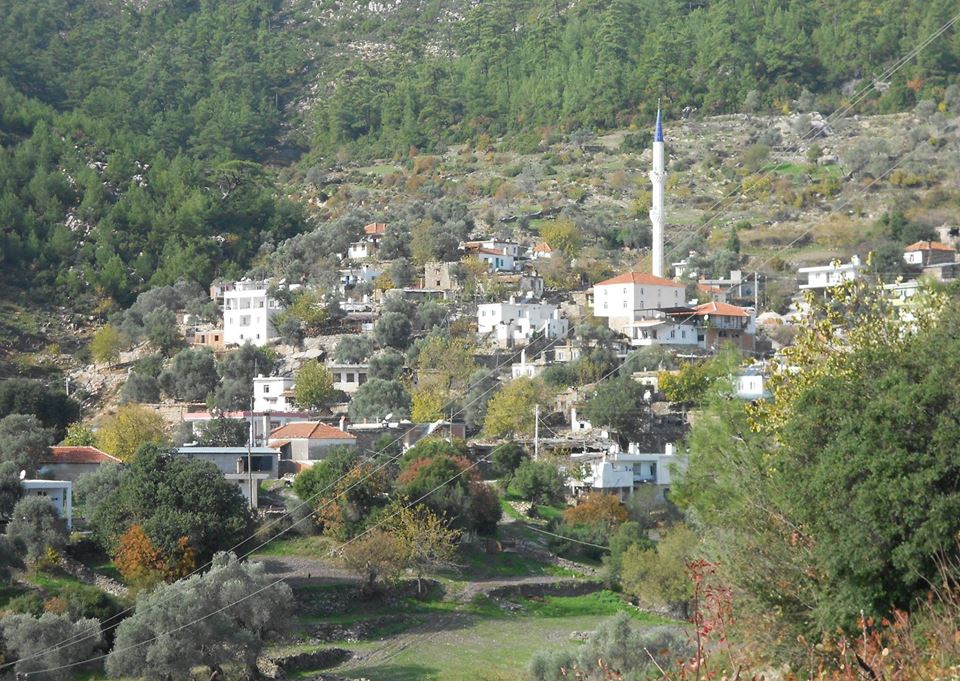 Milas Akçakaya Köyü Resimleri 12