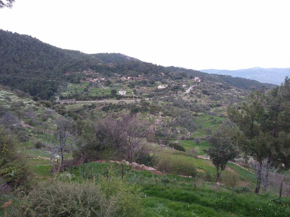 Milas Akçakaya Köyü Resimleri 13