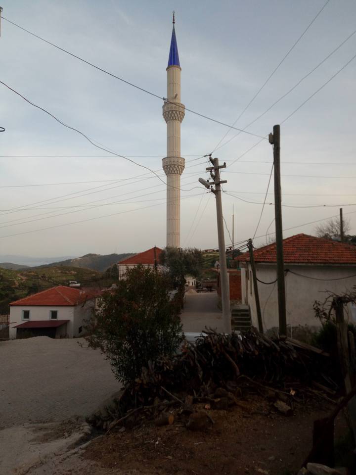 Milas Akçakaya Köyü Resimleri 2