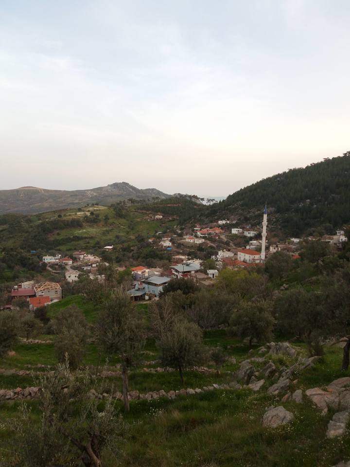 Milas Akçakaya Köyü Resimleri 3