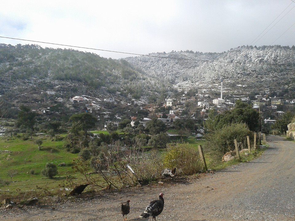 Milas Akçakaya Köyü Resimleri 5