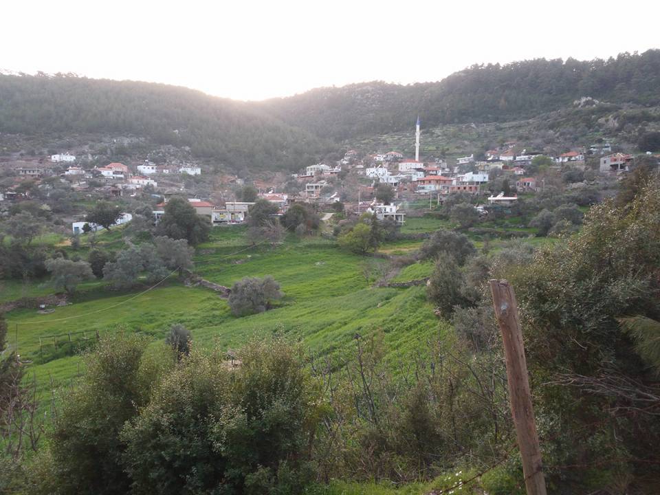 Milas Akçakaya Köyü Resimleri 6