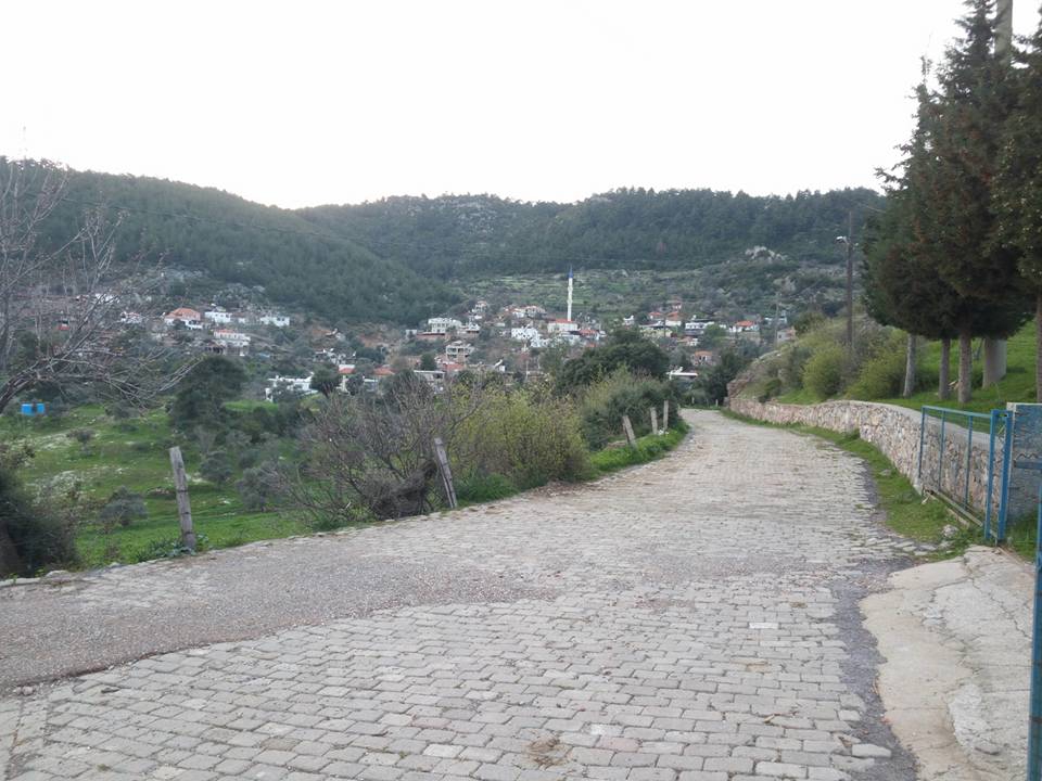 Milas Akçakaya Köyü Resimleri 7