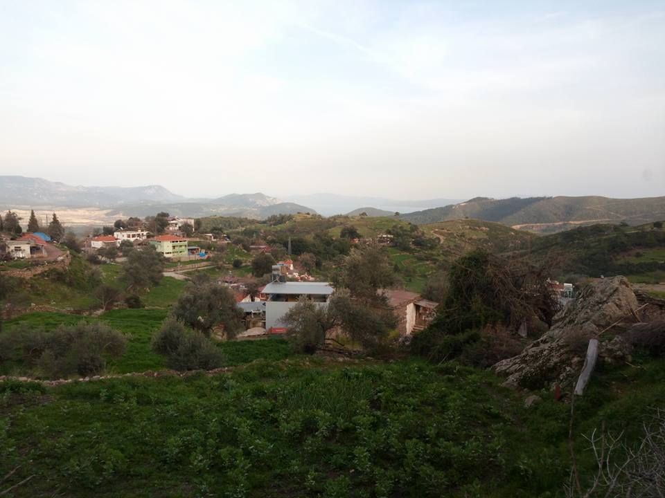 Milas Akçakaya Köyü Resimleri 9