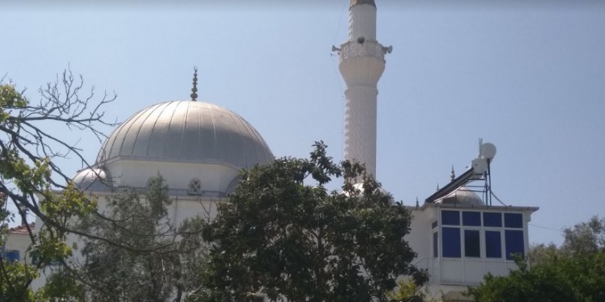 Milas Akyol Köyü Resimleri