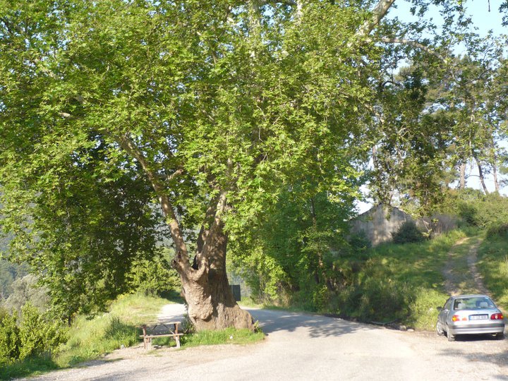 Milas Alatepe Köyü Resimleri 4