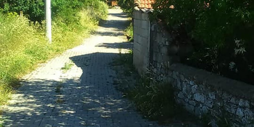 Milas Aslanyaka Köyü Resimleri