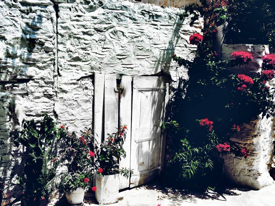 Milas Bafa Köyü Resimleri 2