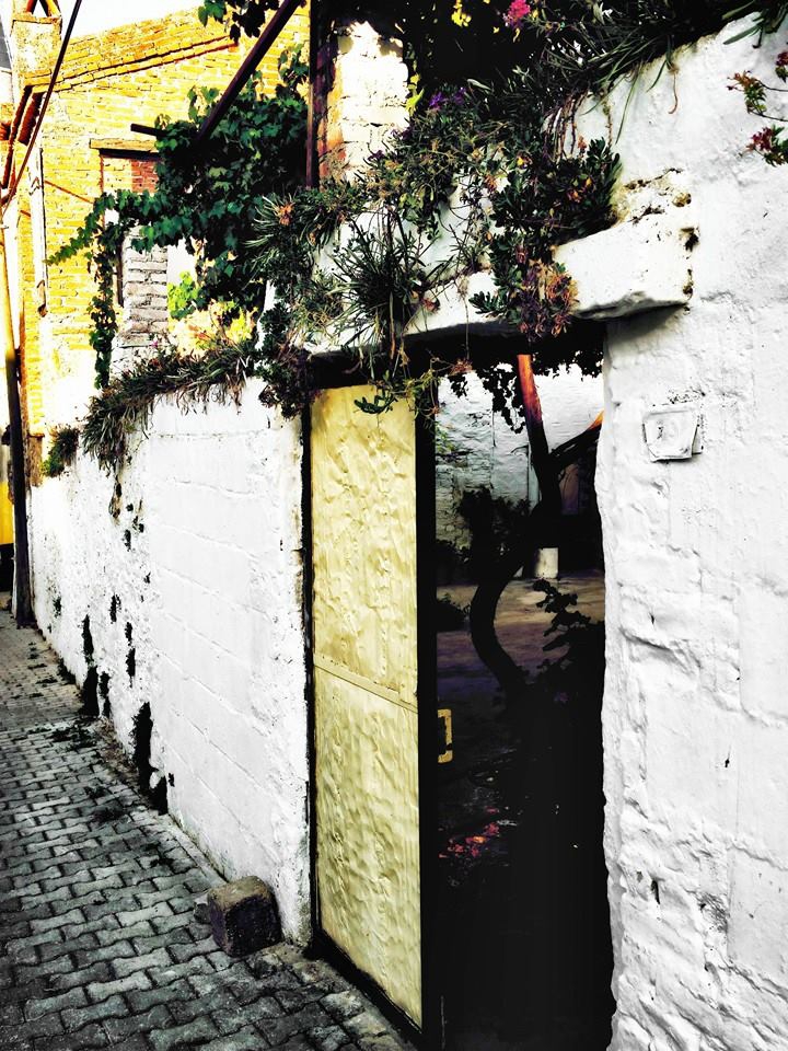 Milas Bafa Köyü Resimleri 5