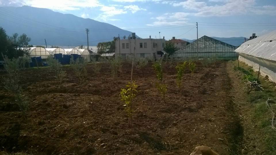 Fethiye Çamköy Resimleri 1