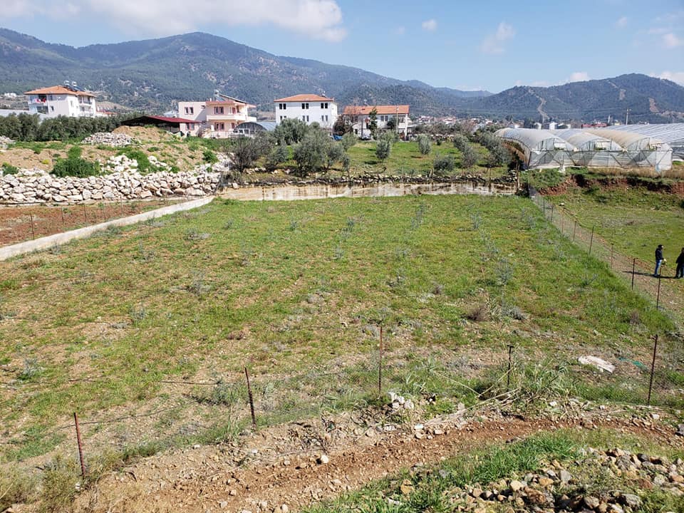 Fethiye Çamköy Resimleri 2