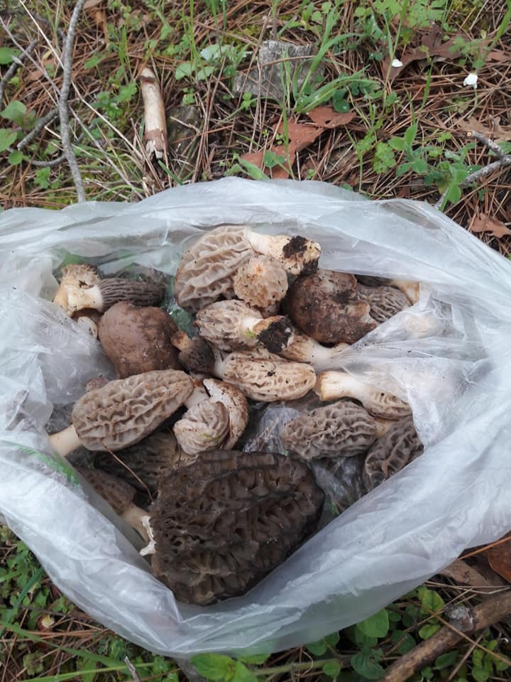 Fethiye Çenger Köyü Resimleri 1