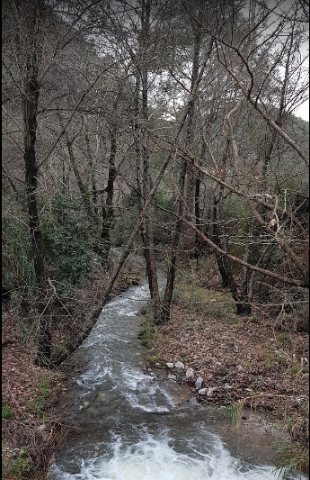 Fethiye Çenger Köyü Resimleri 5