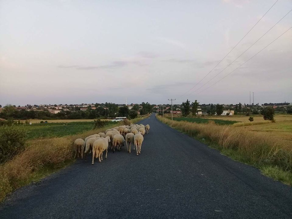 Enez Karaincirli Köyü Resimleri 4