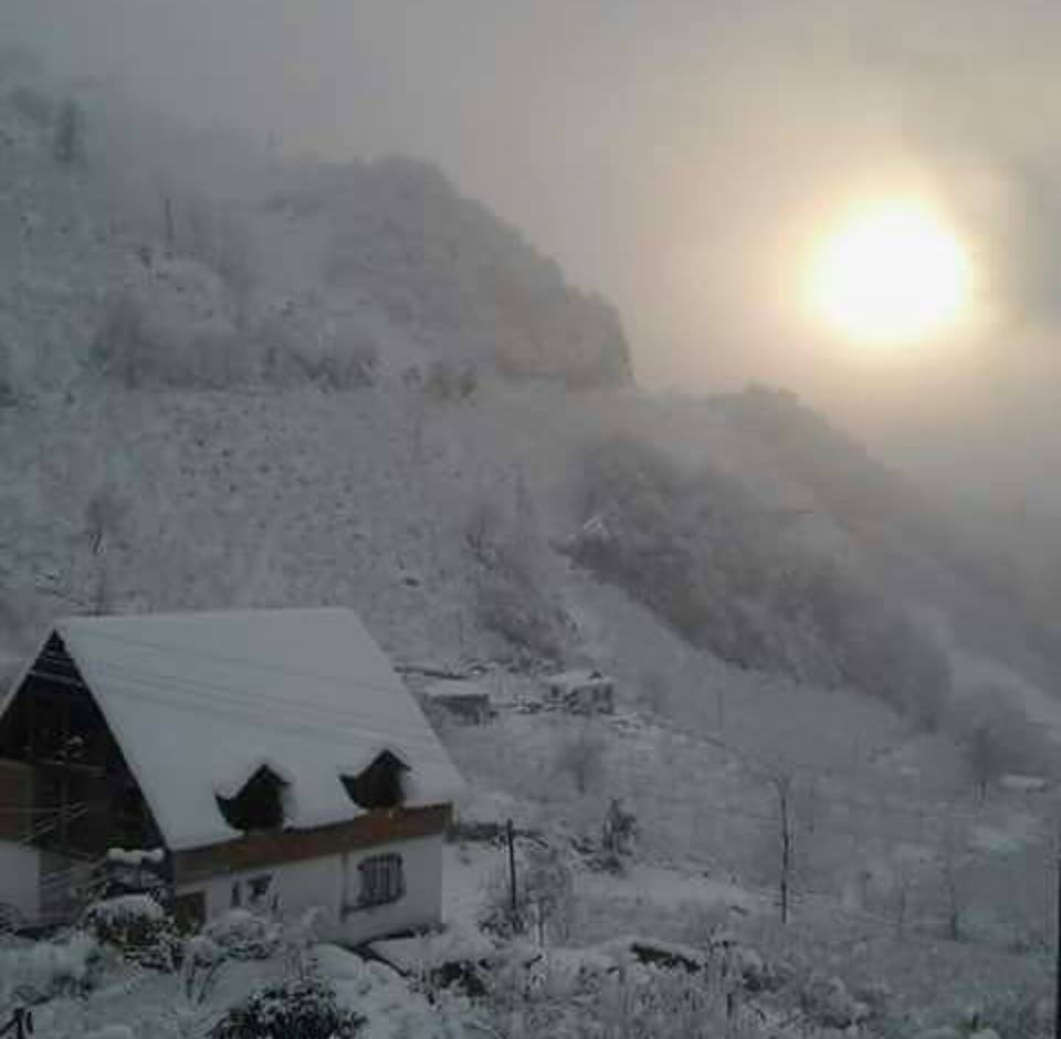 Altınordu Sağırlı Köyü Resimleri 1