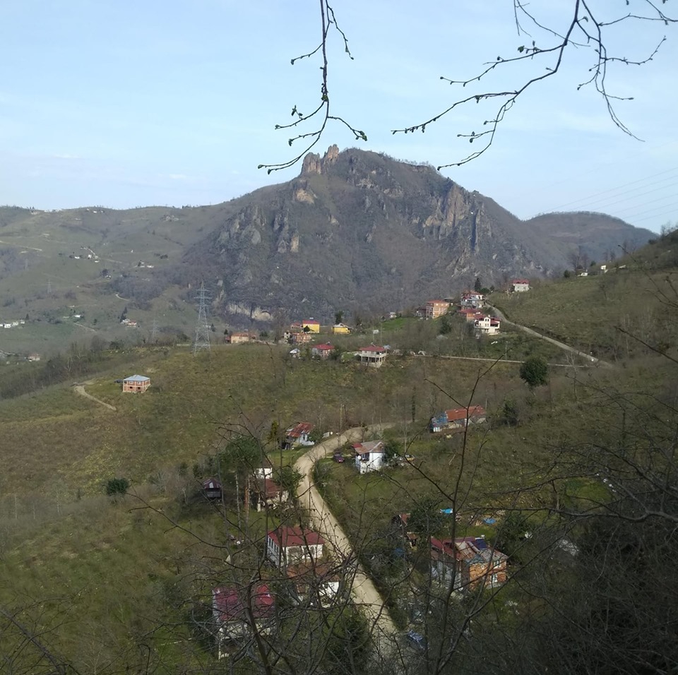 Altınordu Sağırlı Köyü Resimleri 5