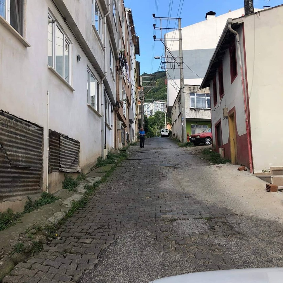 Altınordu Saray Köyü Resimleri 1