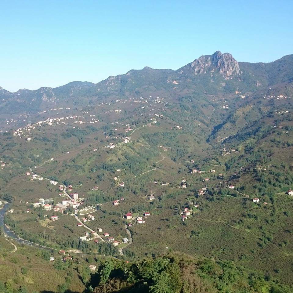 Altınordu Saraycık Köyü Resimleri 1