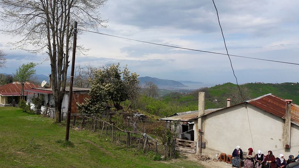 Altınordu Saraycık Köyü Resimleri 2