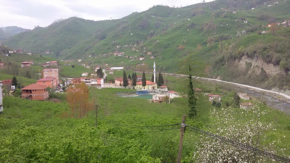 Altınordu Saraycık Köyü Resimleri 3